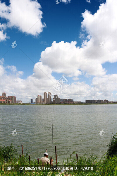 大慶,龍鳳,濕地,湖水,蘆葦