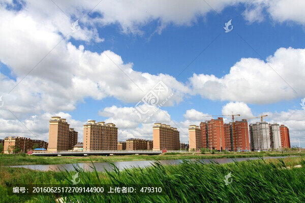 大慶,龍鳳,濕地,湖水,蘆葦