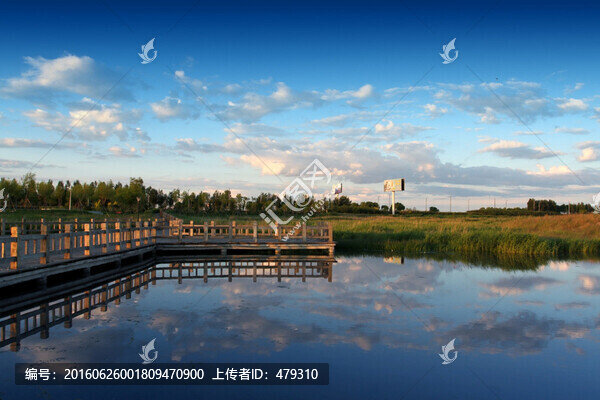 大慶,龍鳳,濕地,水,傍晚