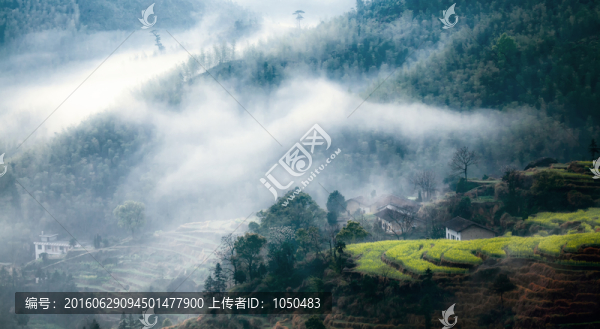 田園風(fēng)光