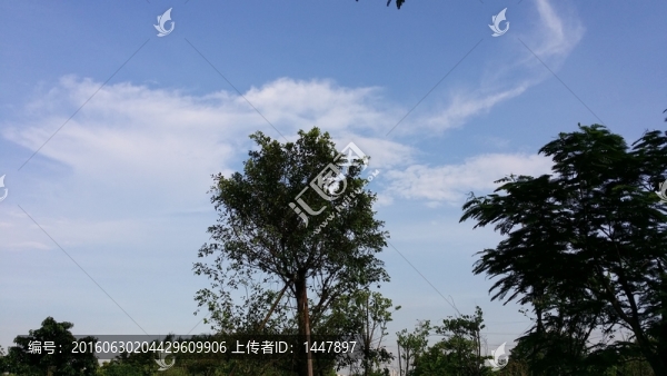 藍(lán)天白云