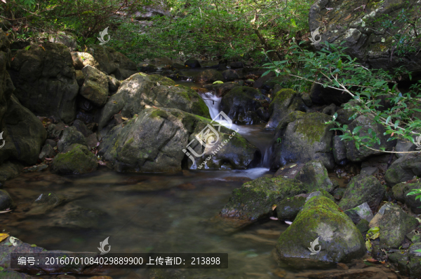 小溪