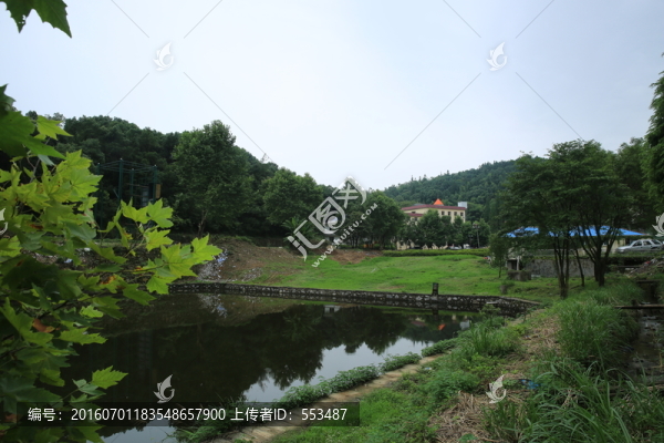 池塘
