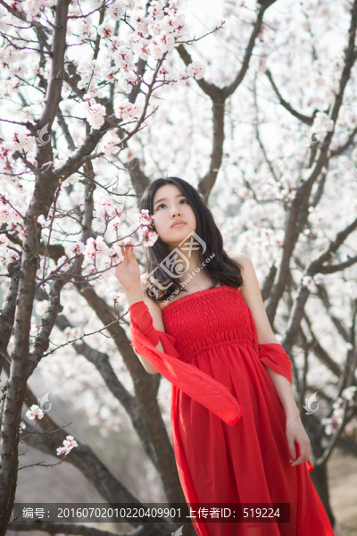 花樹下的女孩