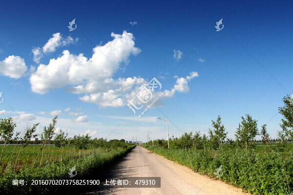 農田,莊稼地,公路,農村