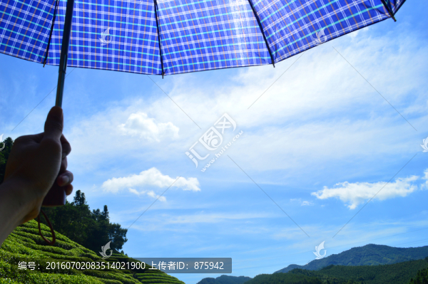 夏天