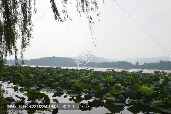 湖景