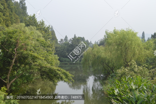 湖景