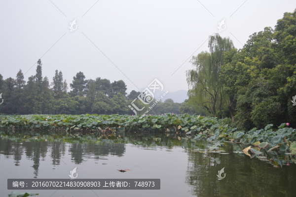 湖景