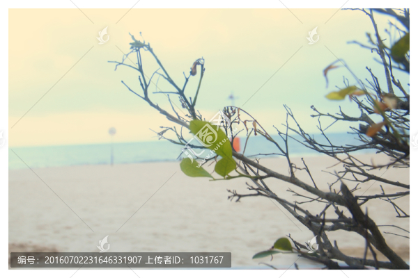 清閑海邊