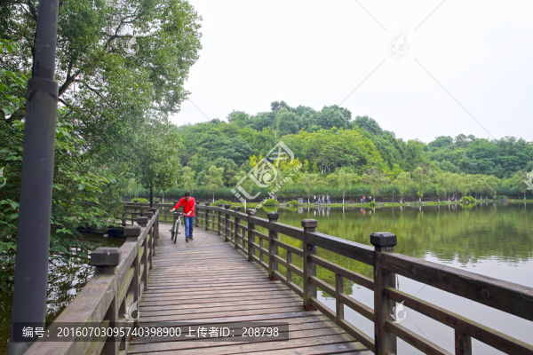 重慶大學(xué)云湖