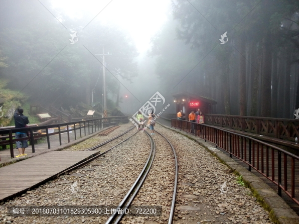 樹林,鐵路,霧