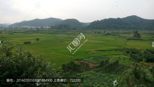 村莊晨光,山水,綠草