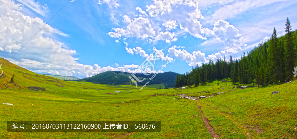 高清全景,草原