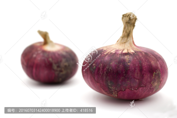 洋蔥