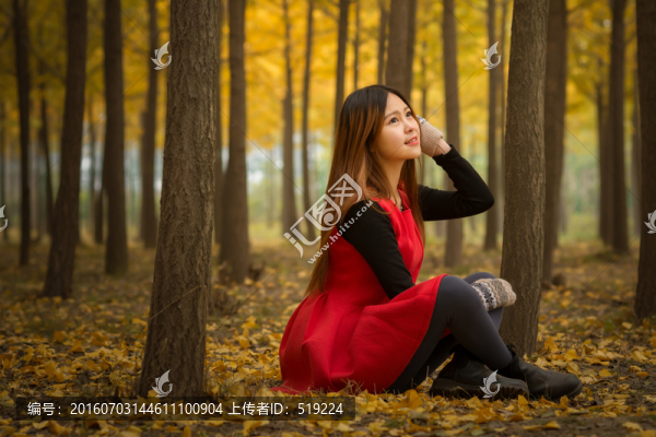 銀杏林里的女孩