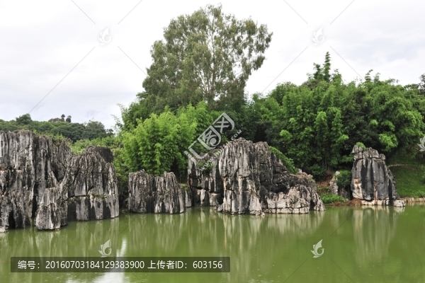 云南,石林