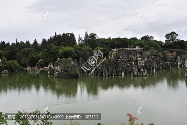 云南,石林