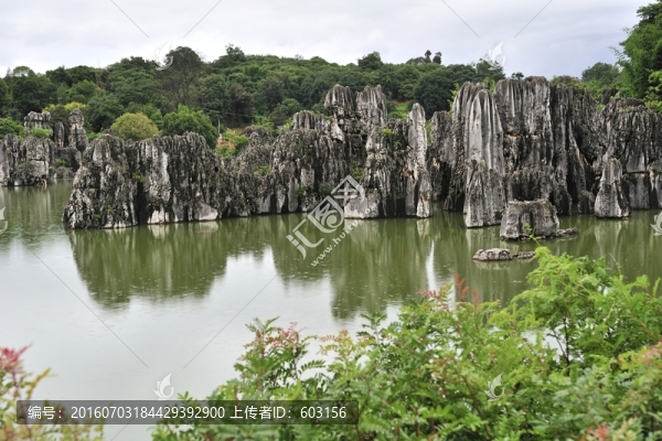 云南,石林