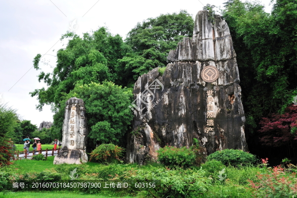 云南,石林