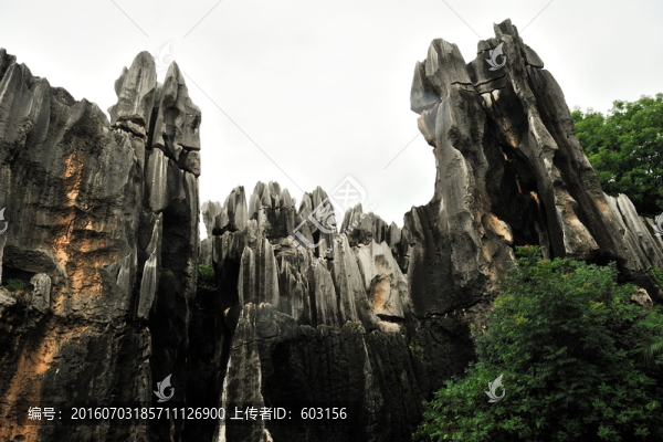 云南,石林
