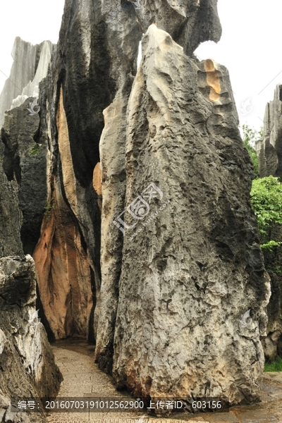 云南,石林