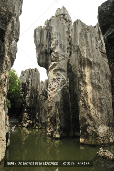 云南,石林
