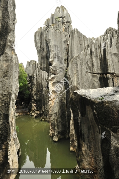 云南,石林