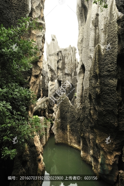 云南,石林