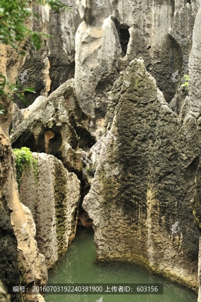 云南,石林