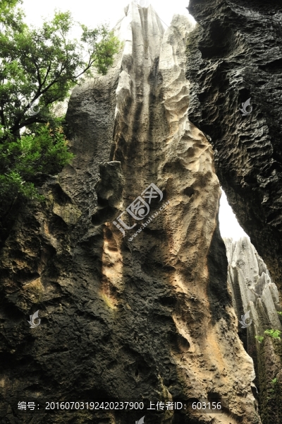 云南,石林