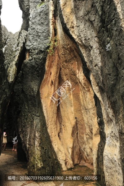 云南,石林