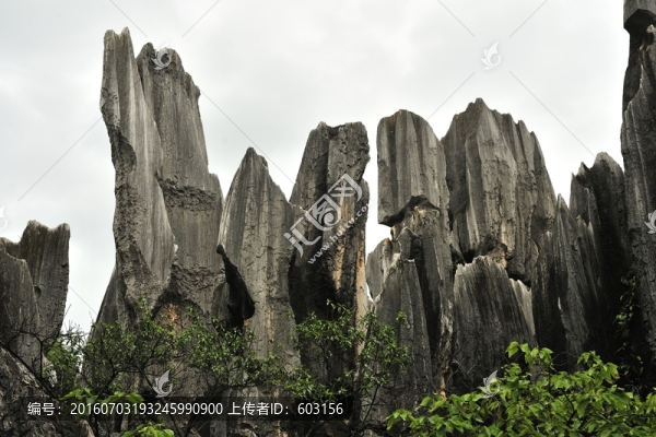 云南,石林