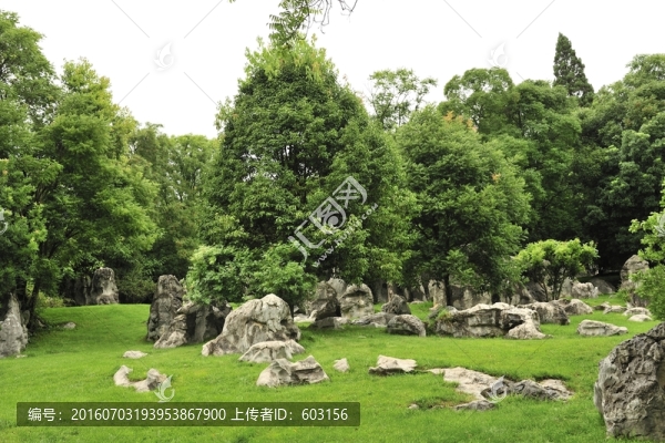 云南,石林