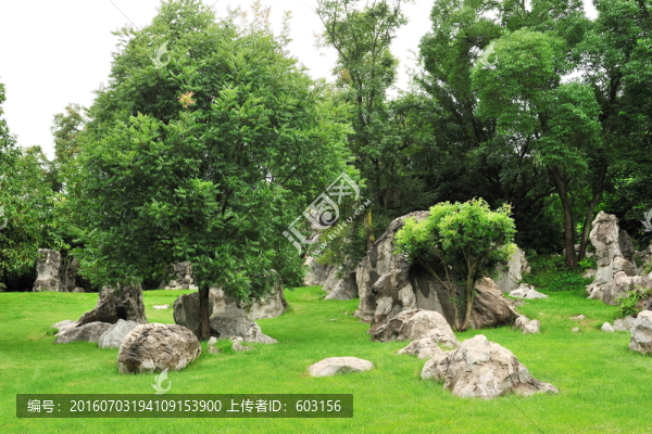 云南,石林
