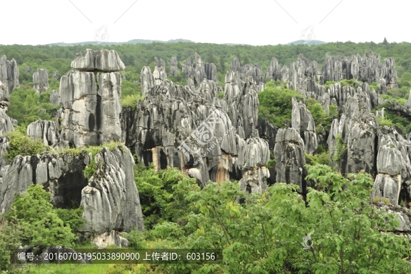 云南,石林