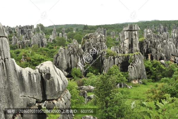 云南,石林