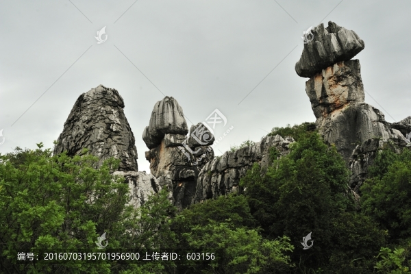 云南,石林
