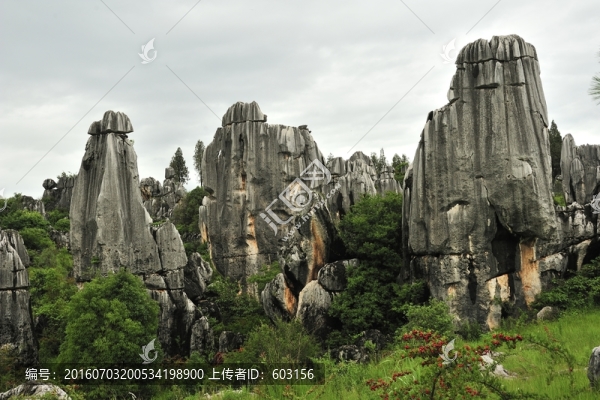 云南,石林