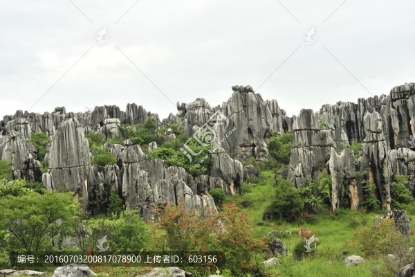 云南,石林