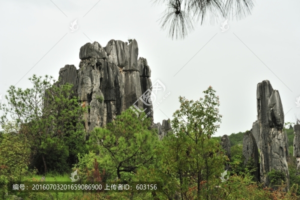 云南,石林