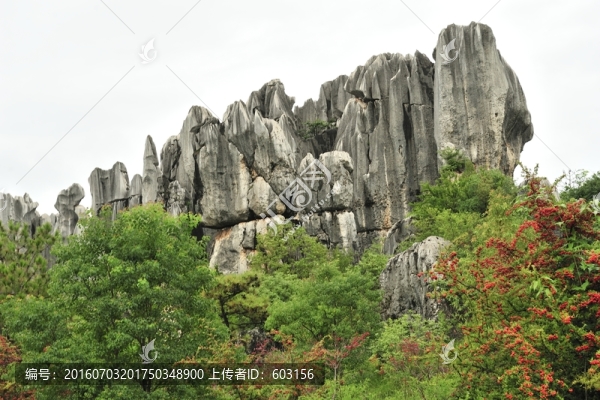 云南,石林
