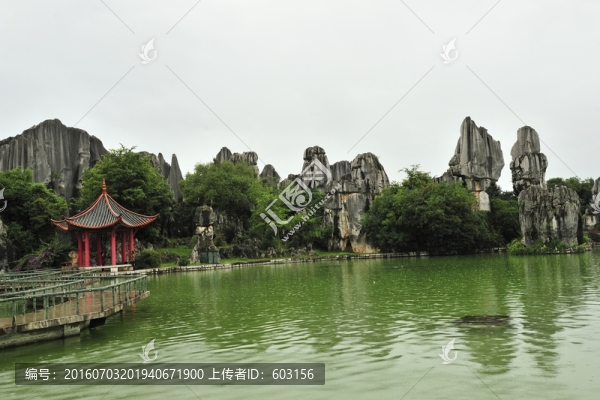 云南,石林