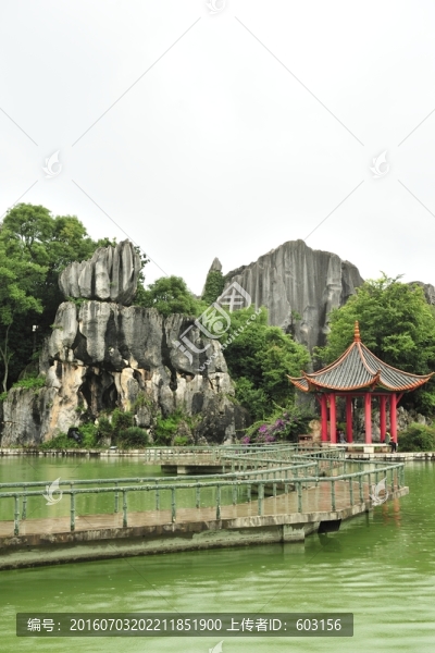 云南,石林