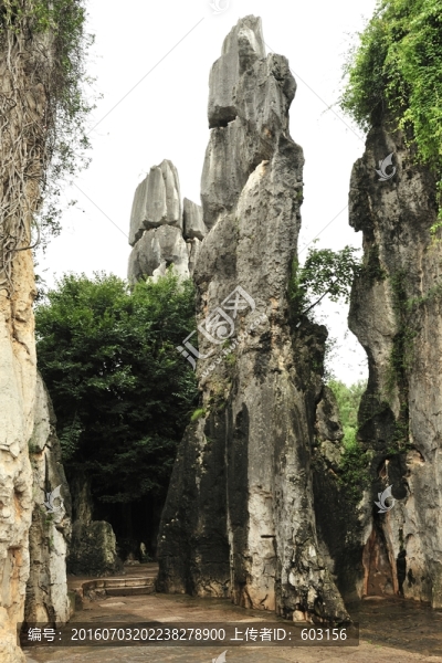 云南,石林