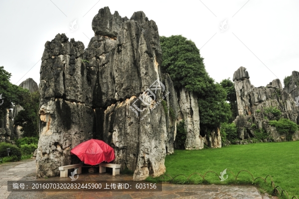 云南,石林