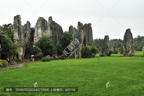 云南,石林