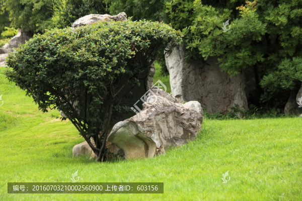 云南,石林