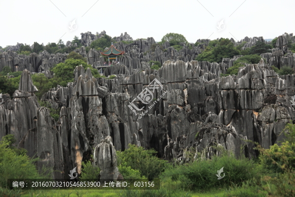 云南,石林