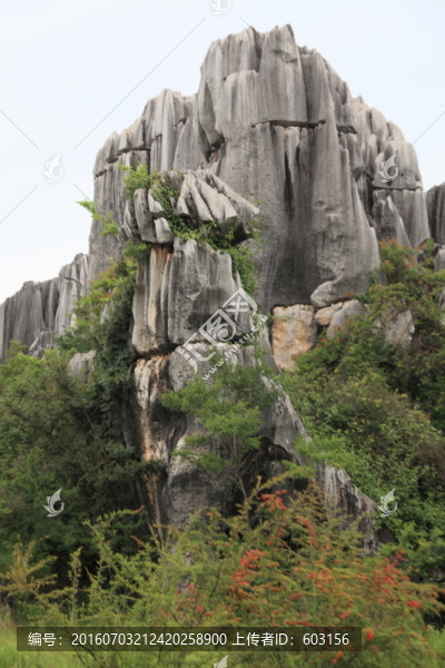 云南,石林
